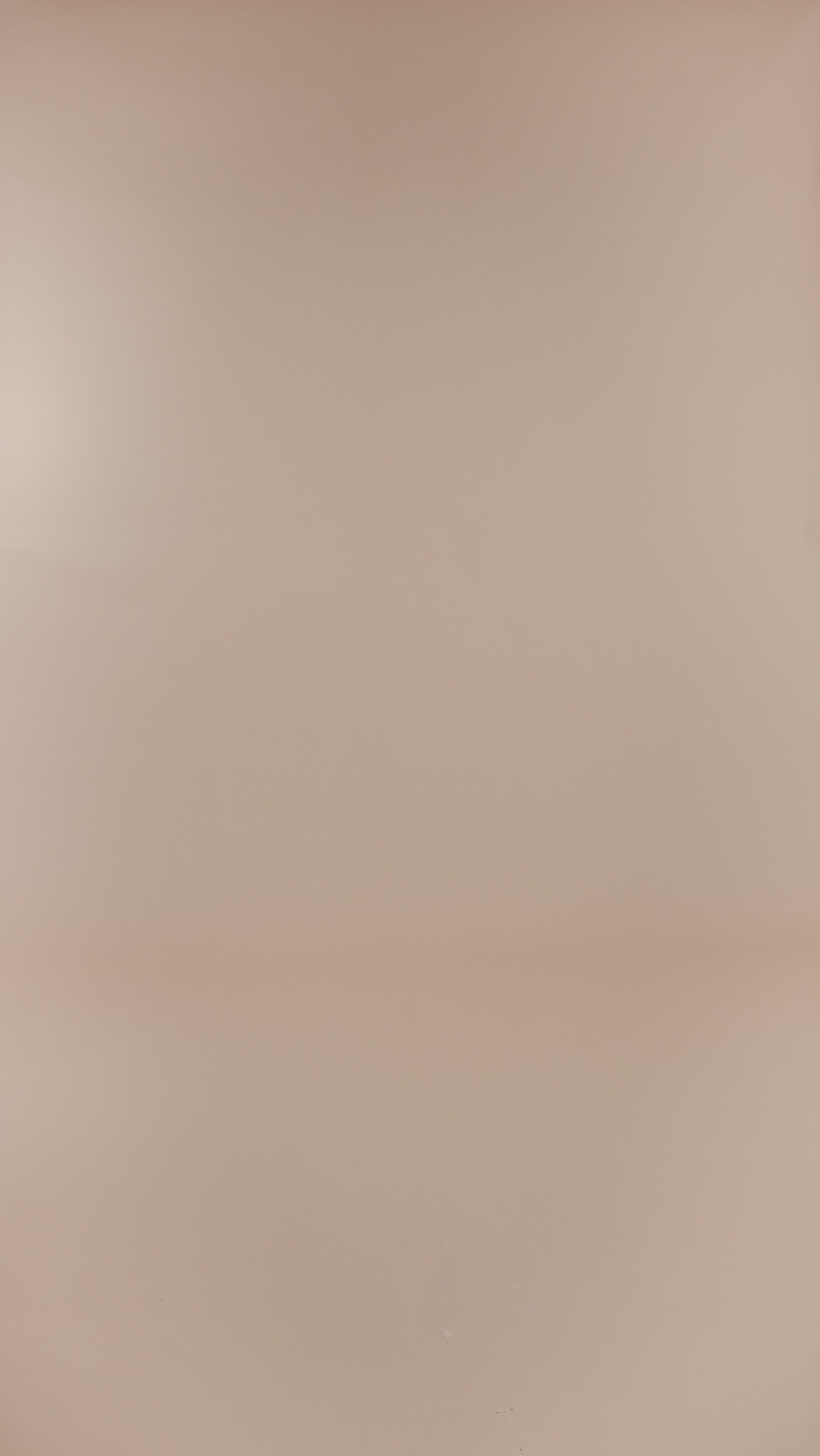 Woman Aster Shorts Natural Bronze 2000544 | Sana Osmani